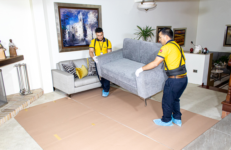 Domestic and Local Moves