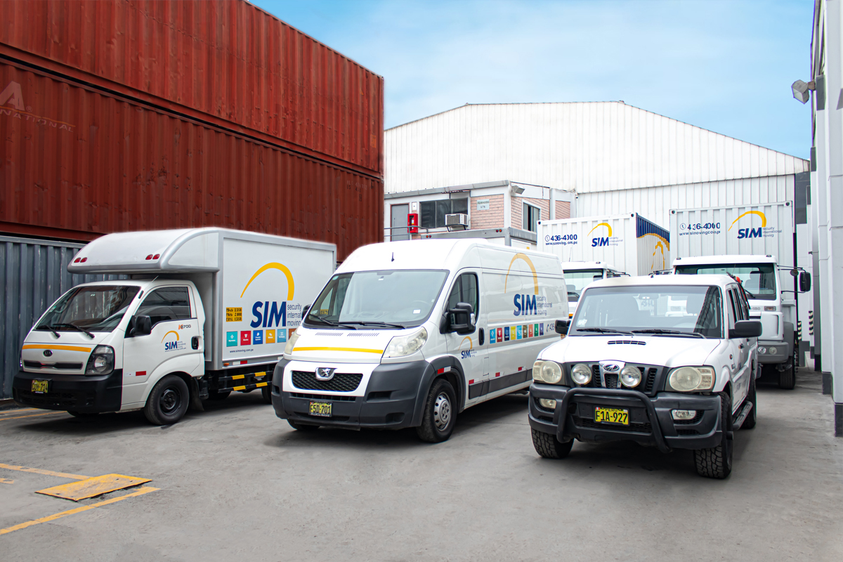 Domestic and local moves