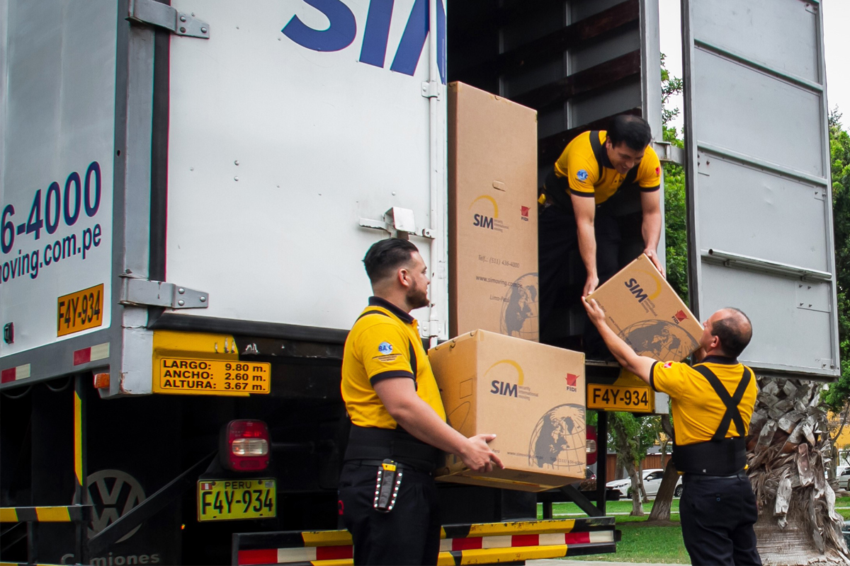 Domestic and local moves