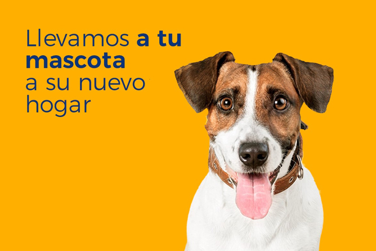 Traslado internacional de mascotas